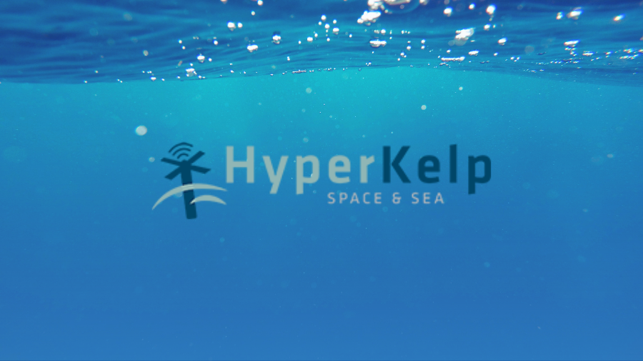 NSIN Alumni Spotlight: HyperKelp, Inc.